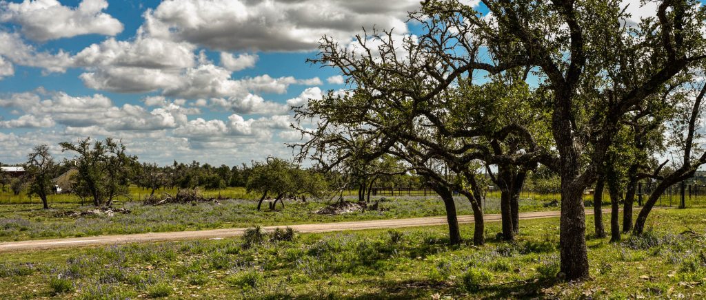 bed-and-breakfast-fredericksburg-texas-hill-country