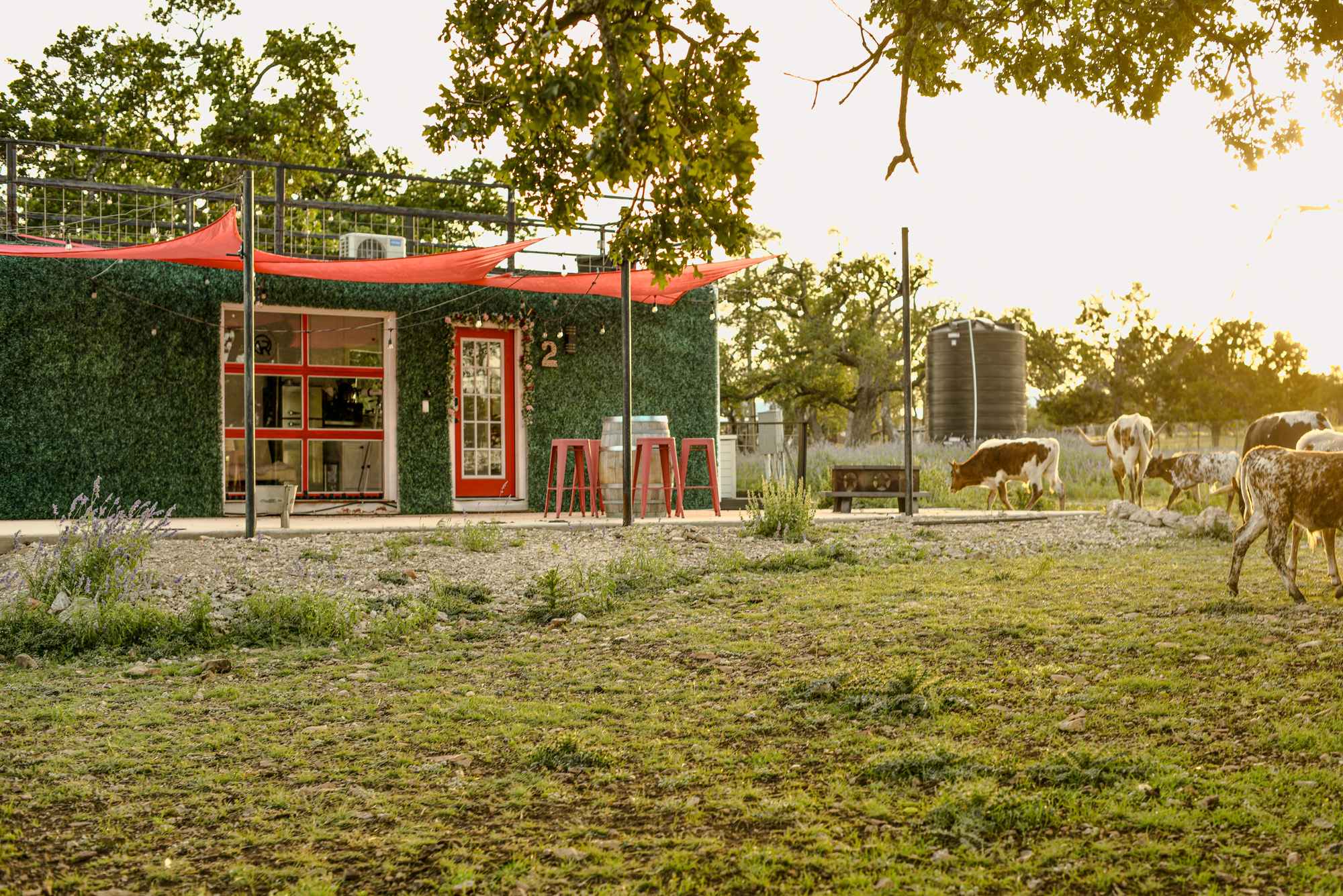 Unveiling the Hidden Gems: The Ultimate Guide to Fredericksburg