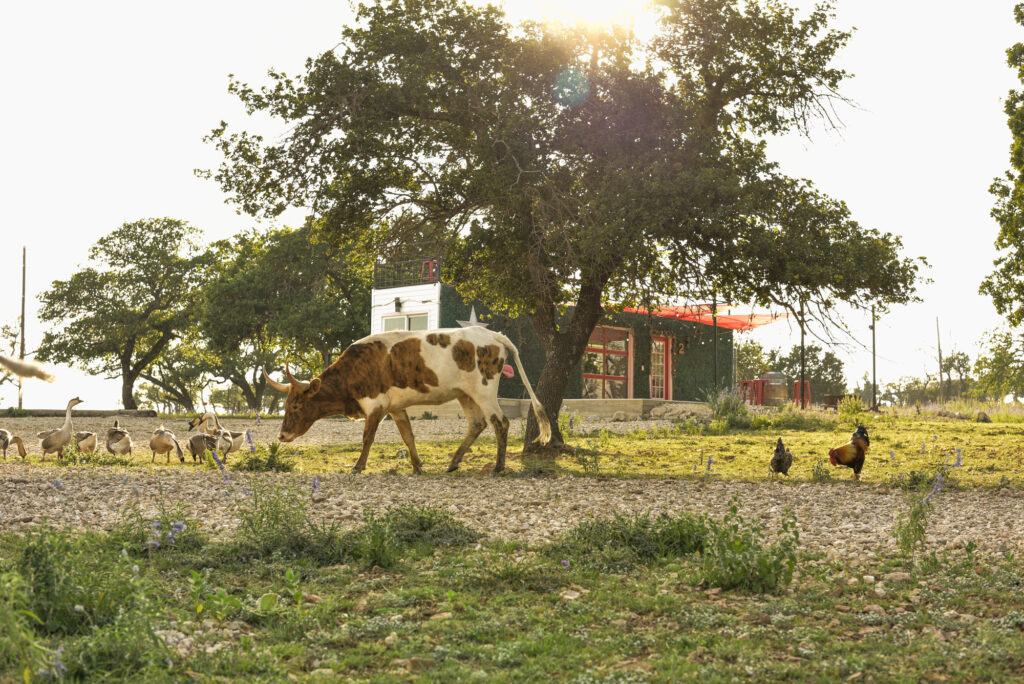 Discover Fredericksburg A Tourist’s Delight​